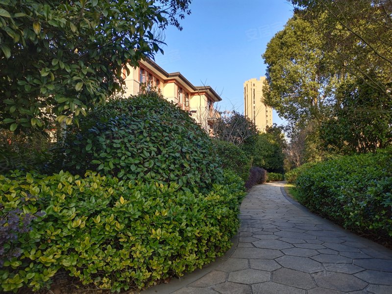 博能信江府,滨江西路11号-上饶博能信江府二手房,租房,房价-上饶安居