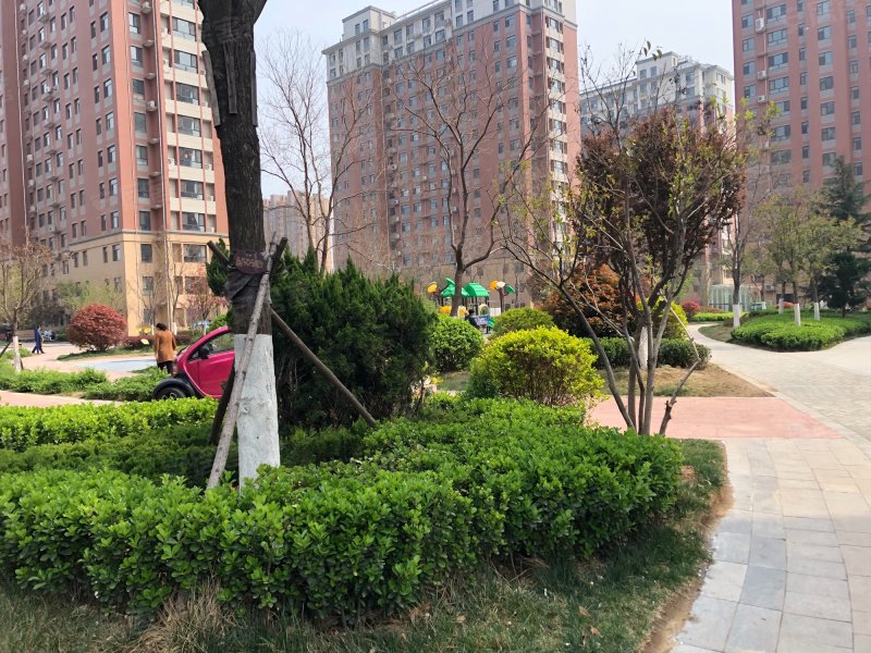 金柱海德公园,光岳路-聊城金柱海德公园二手房,租房,房价-聊城安居客