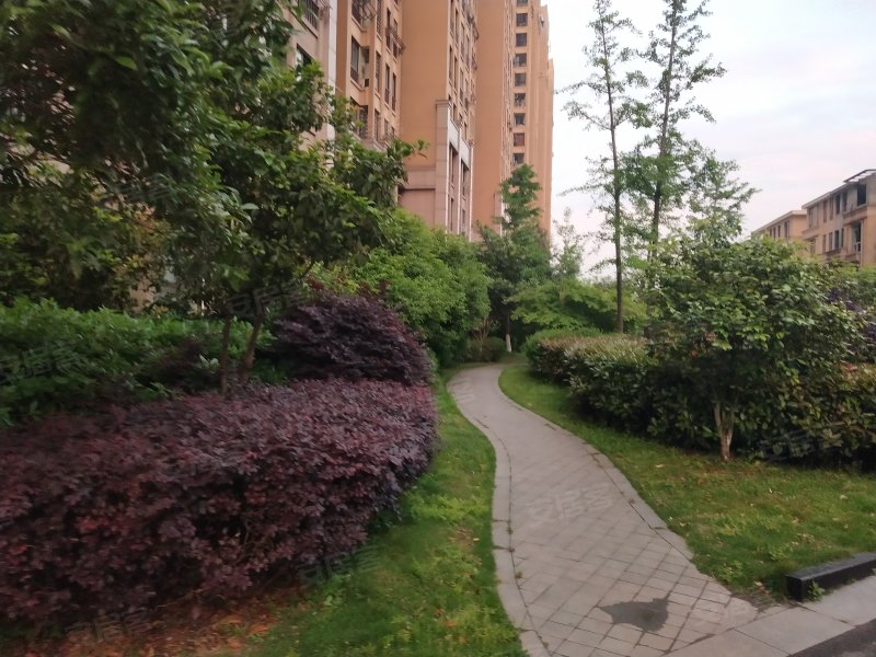 新科花园a区,新科路-义乌新科花园a区二手房,租房,房价-义乌安居客