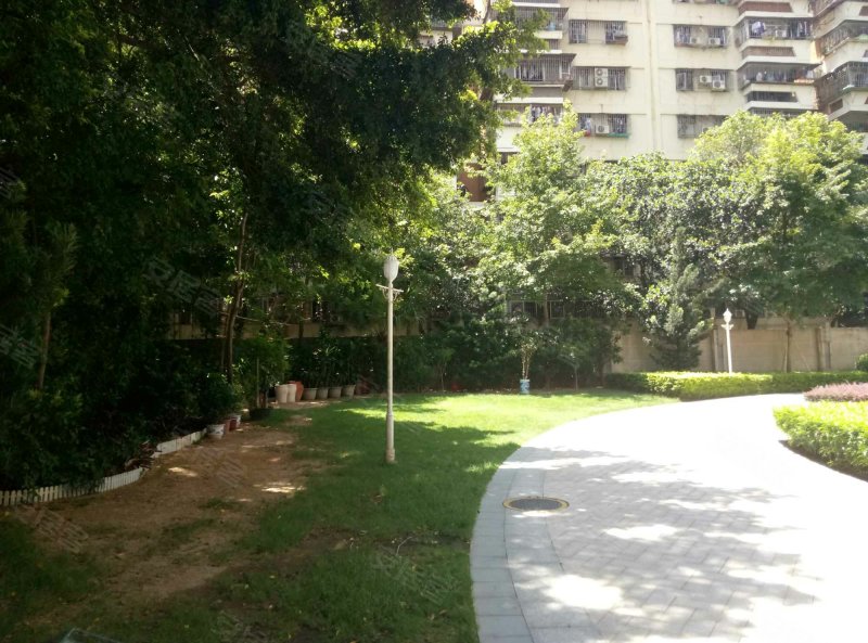 田厦翡翠明珠花园,金鸡路1号-深圳田厦翡翠明珠花园二手房,租房,房价