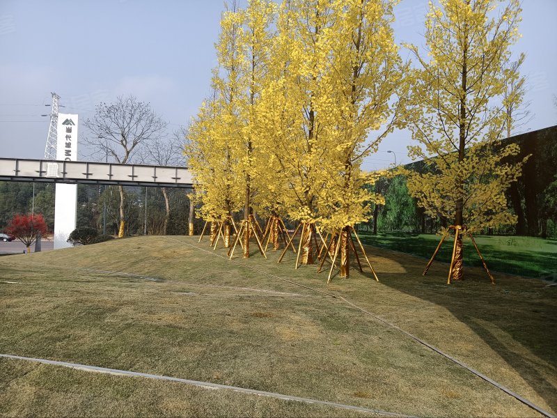 当代城moma,黛山大道,近聚金大道-重庆当代城moma二手房,租房,房价