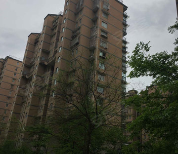 九堡客运站小区图片