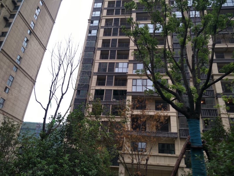 常绿林溪美地,翠竹路-平顶山常绿林溪美地二手房,租房,房价-平顶山