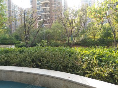 上海金地花园图片