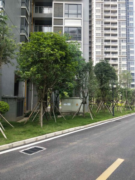 古山居苑(南区),圣塘路,近政和路-柳州古山居苑(南区)二手房,租房