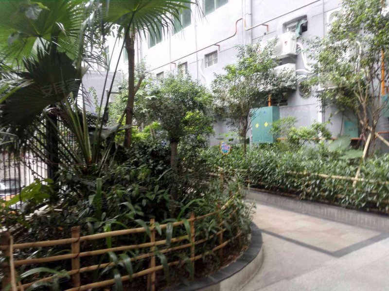 厦村统建楼,沙平北路89号-深圳厦村统建楼二手房,租房,房价-深圳安居