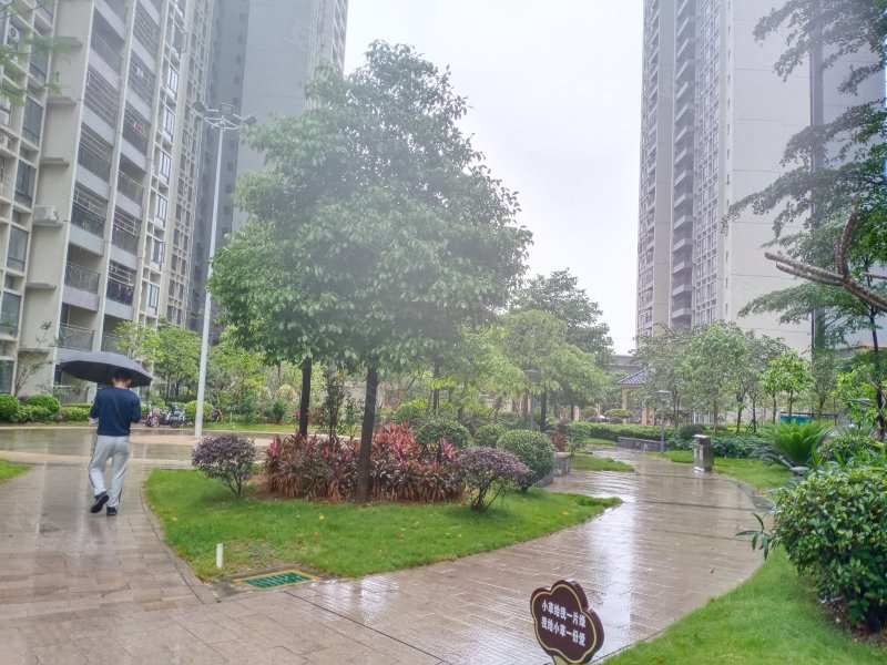 凤凰春天花园,清远大道-清远凤凰春天花园二手房,租房,房价-清远安居