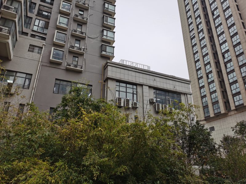 中孚紫东苑,紫荆山路9号-郑州中孚紫东苑二手房,租房,房价-郑州安居客