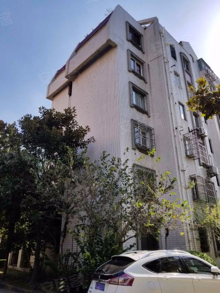 金汇花园四街坊 