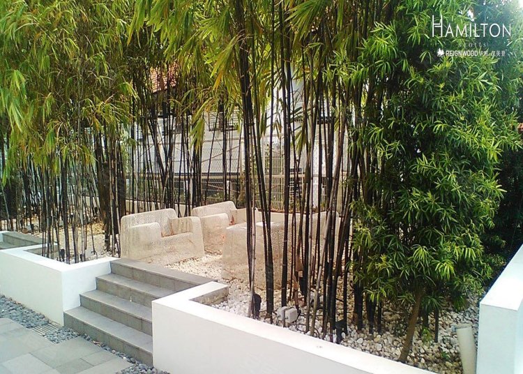 新加坡邮区乌节路 里巴巴利约¥4800万乌节路豪宅Reignwood Hamilton Scotts新房公寓图片