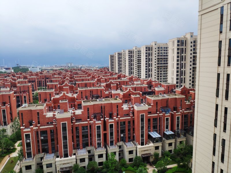 中海阳光玫瑰园