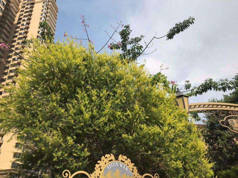 嘉和城依云湾(别墅),昆仑大道-南宁嘉和城依云湾(别墅)二手房,租房