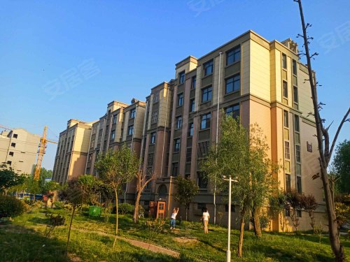 观澜国际城,武阳街东段002号 - 莘县观澜国际城二手房,租房,房价-莘县