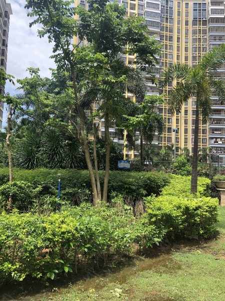 金鹿花园二期,勋亭路4号-海口金鹿花园二期二手房,租房,房价-海口安居