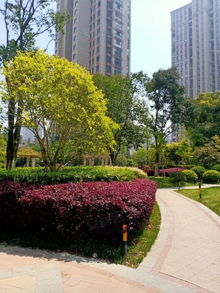 融侨观邸(一期),行创四路,近江华路-无锡融侨观邸(一期)二手房,租房