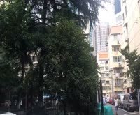 东昌小区