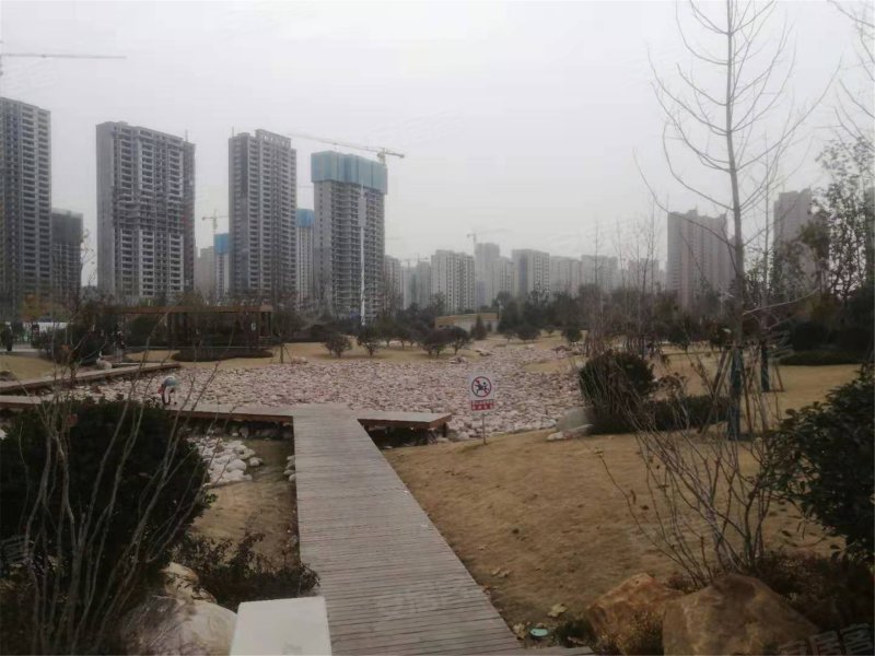 建邦中央公园,人民路,近长江路-菏泽建邦中央公园二手房,租房,房价