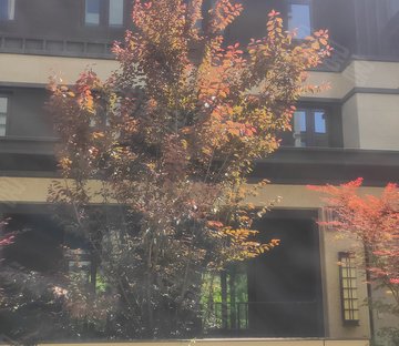 龙湖蠡湖天著(别墅)