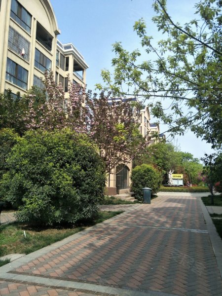 聚丰香树湾,高新十四路-宝鸡聚丰香树湾二手房,租房,房价-宝鸡安居客