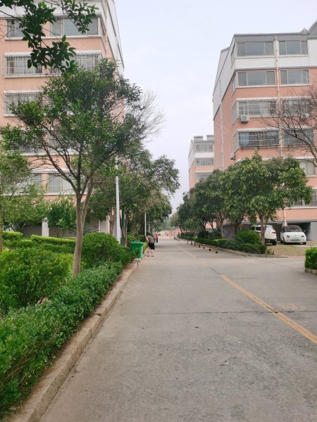 学府嘉园,佛光路-泰安学府嘉园二手房,租房,房价-泰安安居客