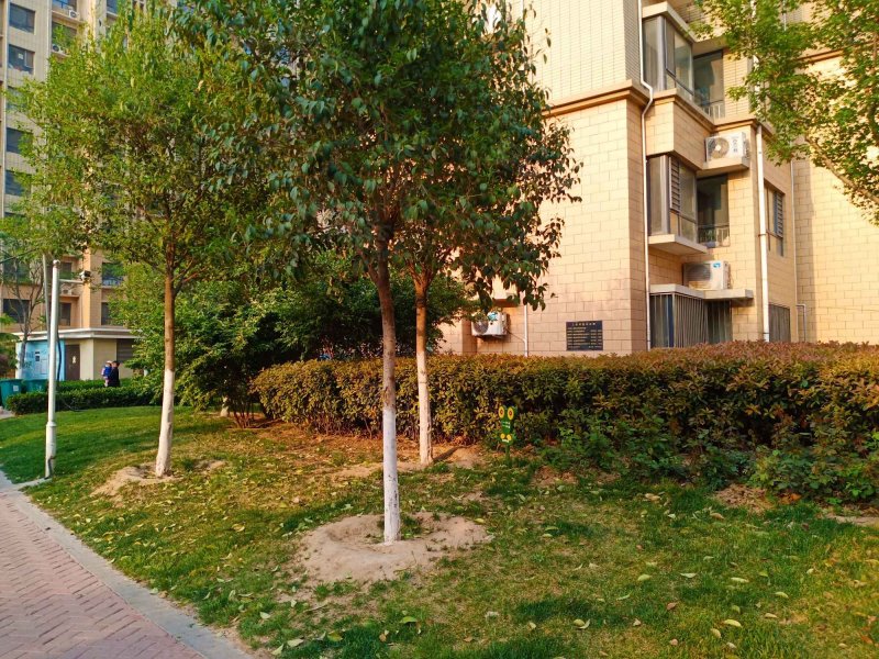 金柱绿城,恒昌街-聊城金柱绿城二手房,租房,房价-聊城安居客