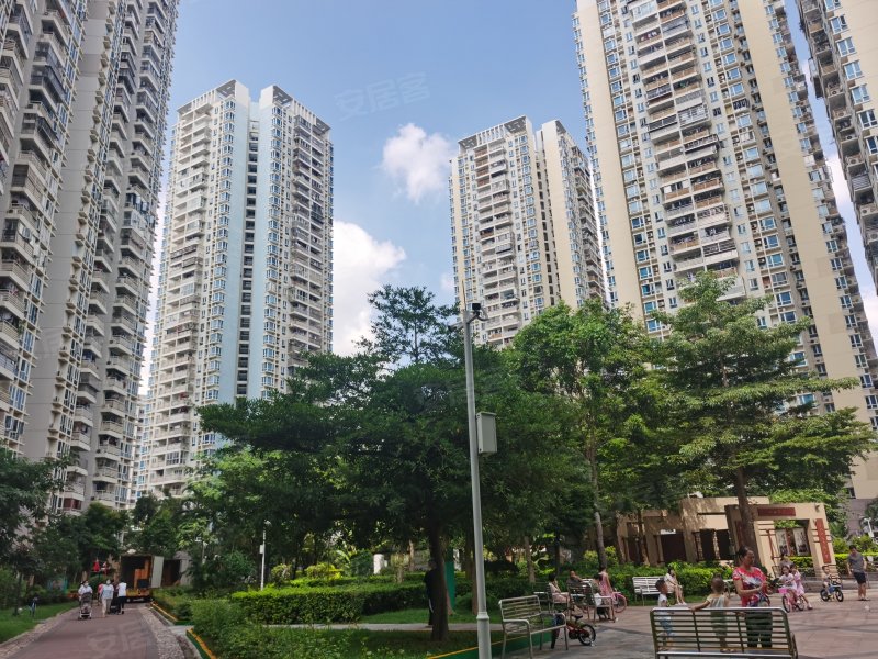 桃源村(三期),龙珠八路8号-深圳桃源村(三期)二手房,租房,房价-深圳