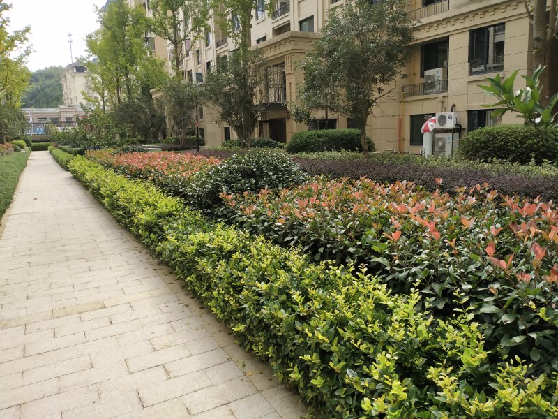 中梁望府,开元路-衢州中梁望府二手房,租房,房价-衢州安居客