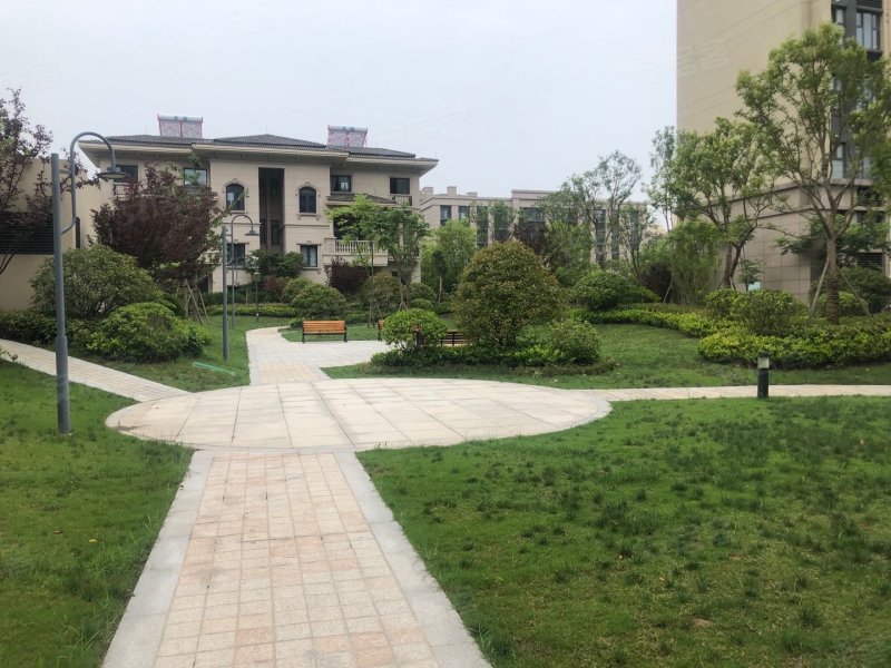 碧桂园珺悦府,青年东路,近跃进路-盐城碧桂园珺悦府二手房,租房,房价