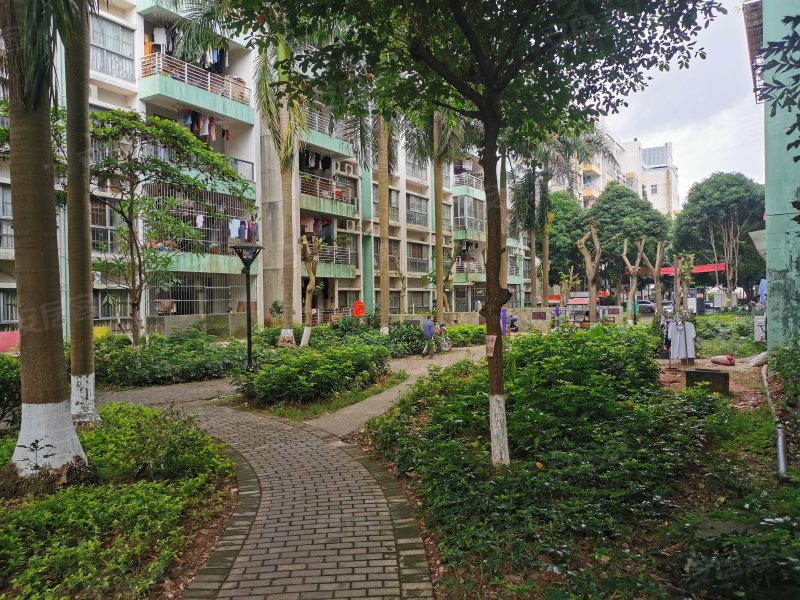 阳光新城碧涛苑,金沙大道269号-南宁阳光新城碧涛苑二手房,租房,房价