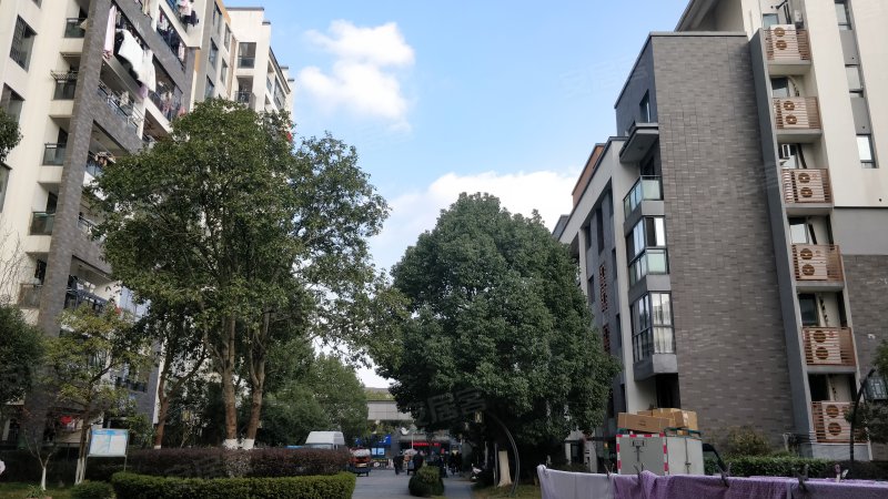 栢景雅居丹桂轩