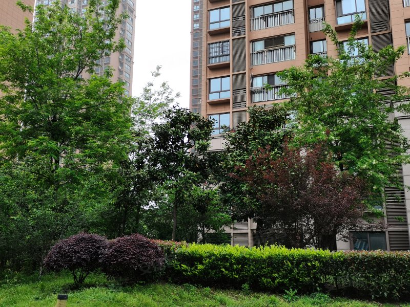 东方天韵,天柱山东路109号-安庆东方天韵二手房,租房,房价-安庆安居客