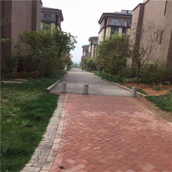 卓亚香格里,肥桃路166号-肥城卓亚香格里二手房,租房,房价-肥城安居客