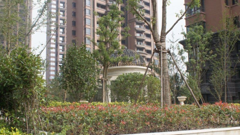 世博帝宝花园,嘉善大道-嘉兴世博帝宝花园二手房,租房,房价-嘉兴安居