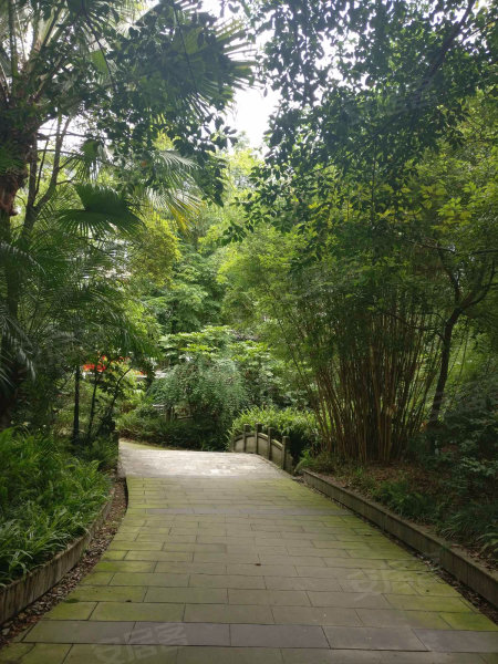 龙府花园,南京路33号-成都龙府花园二手房,租房,房价-成都安居客