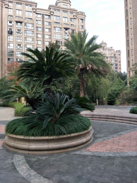 铂金家园,汤家桥路-温州铂金家园二手房,租房,房价-温州安居客