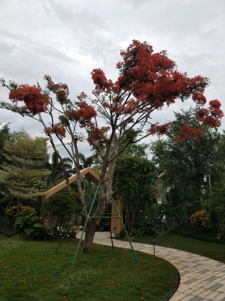 保利六千树,223国道-海口保利六千树二手房,租房,房价-海口安居客