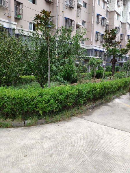 锦绣家园(邳州),锦江西路-徐州锦绣家园(邳州)二手房,租房,房价-徐州