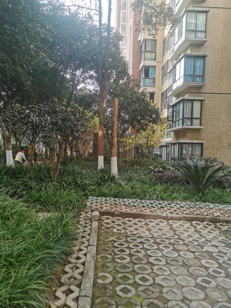 美堤雅城(a区),汇龙路66号-重庆美堤雅城(a区)二手房,租房,房价-重庆