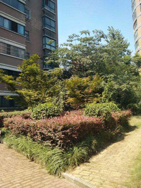 科大花园东苑
