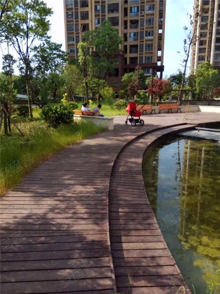 中北龙池湾,龙城路9号-南京中北龙池湾二手房,租房,房价-南京安居客