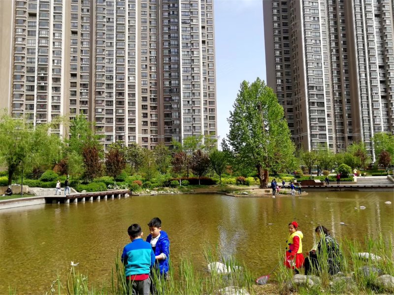 东尚观湖,团结西路28号-西安东尚观湖二手房,租房,房价-西安安居客