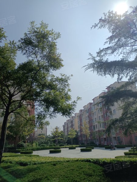 世纪花园(三期),南山中路-烟台世纪花园(三期)二手房,租房,房价-烟台