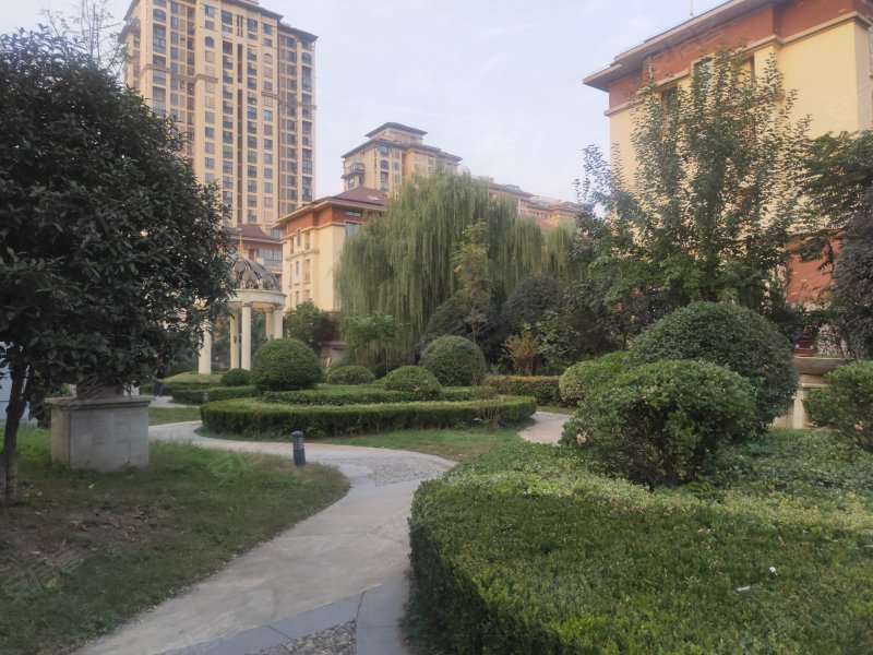 现代城大(二期),交通大道-周口现代城大(二期)二手房,租房,房价-周口