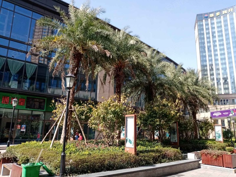 维多利广场,桥头大街-温州维多利广场二手房,租房,房价-温州安居客