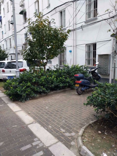 南园新村(姑苏),新市路-苏州南园新村(姑苏)二手房,租房,房价-苏州