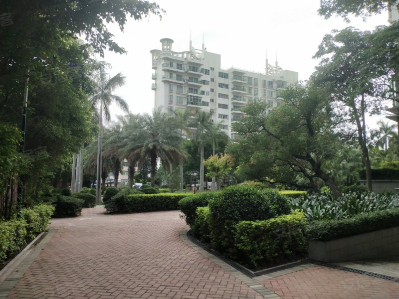 金逸雅居,北江一路22号-清远金逸雅居二手房,租房,房价-清远安居客