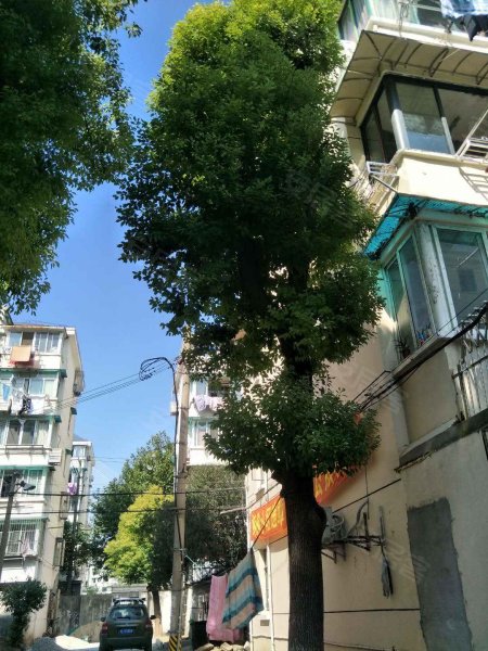 东三里桥路160弄小区 