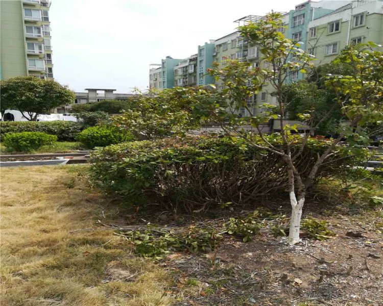 赛格特花园,湫水大道2号-台州赛格特花园二手房,租房,房价-台州安居客