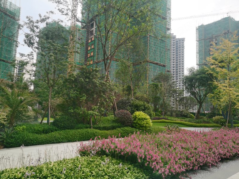 金府名门,阜成路东段-眉山金府名门二手房,租房,房价-眉山安居客