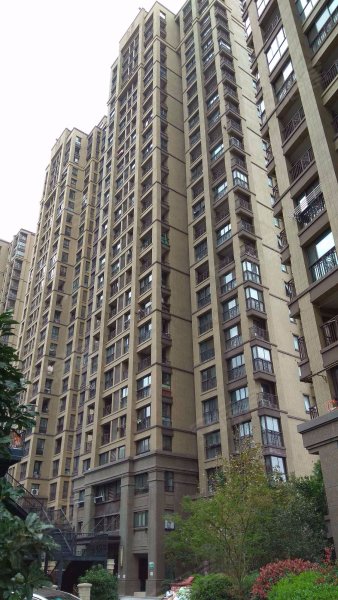 绿地海域苏河源(一期公寓住宅) 